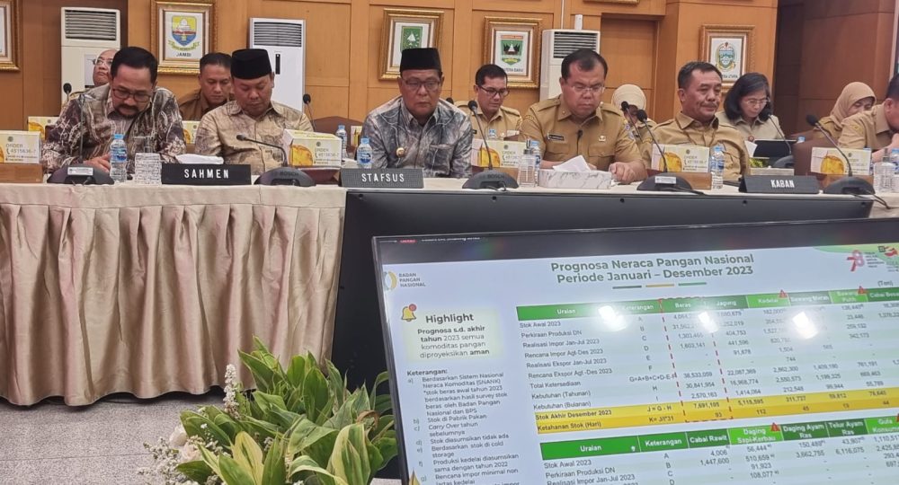 Rakor Pengendalian Inflasi Bersama Mendagri, Gubernur Bersyukur Kalsel Penyangga Pangan Nasional