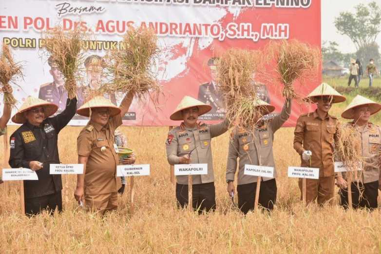 Antisipasi Dampak El Nino, Wakapolri Tanam dan Panen Padi, Semoga Jadi Inspirasi Bagi Daerah Lain