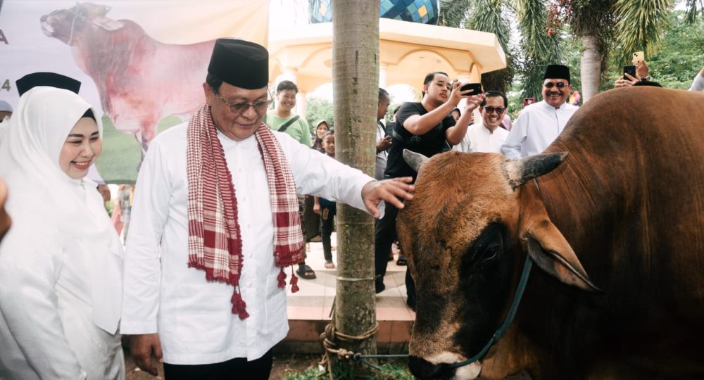 Paman Birin Didampingi Acil Odah Serahkan Bantuan Sapi dari Presiden di Masjid Al Karomah Martapura