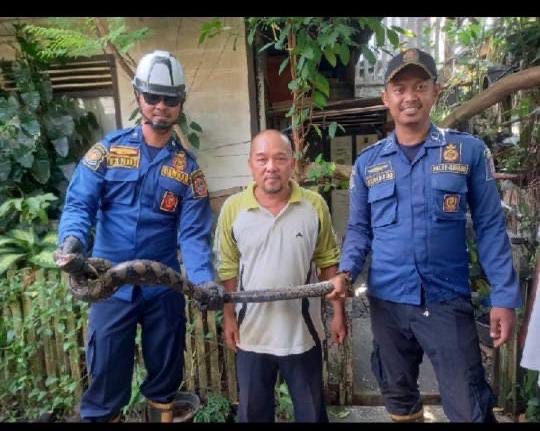 Waspada Hewan Melata di Musim Banjir, Satpol PP dan Damkar Imbau Masyarakat Lapor Melalui Hotline