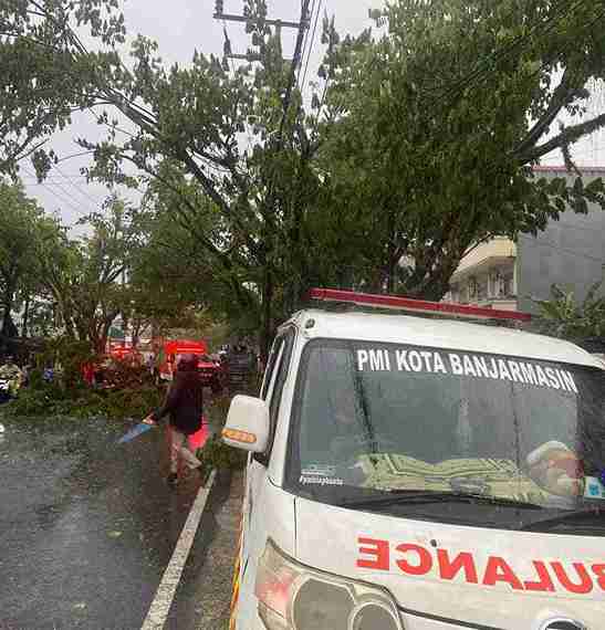 Pohon Tumbang Timpa Pengendara di Jalan Pramuka, Dua Orang Luka Serius