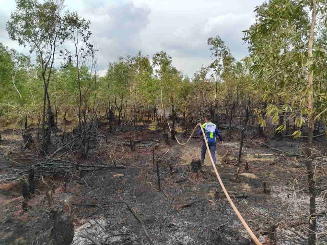 Status Darurat Karhutla Kalsel Berakhir, Ingatkan Dinsos Tetap Siaga