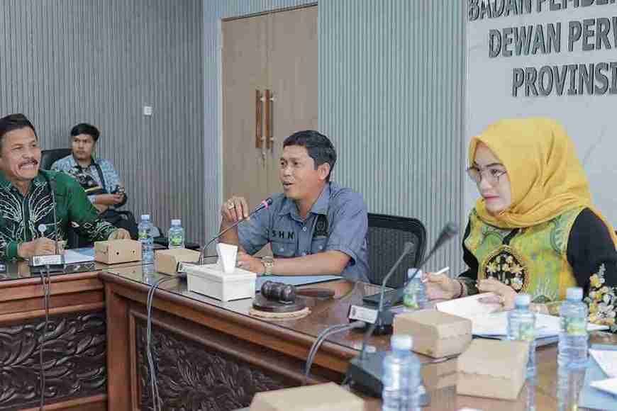 Konsultasikan Status Klinik Utama Setara, Sadam Husain Naparin Terima Kunjungan DPRD Batola di Rumah Banjar