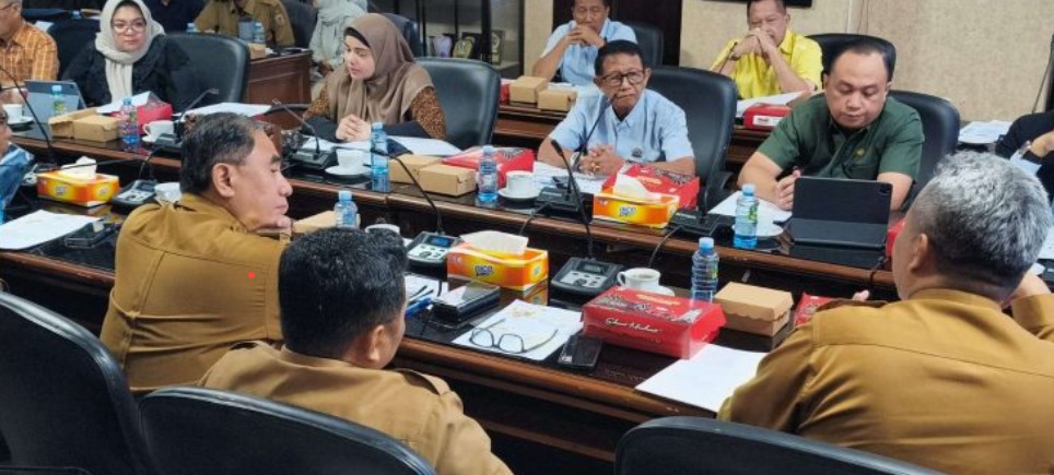 AKI dan AKB Masih Tinggi, Pansus IV DPRD Kalsel Soroti Kekurangan Tenaga Kesehatan
