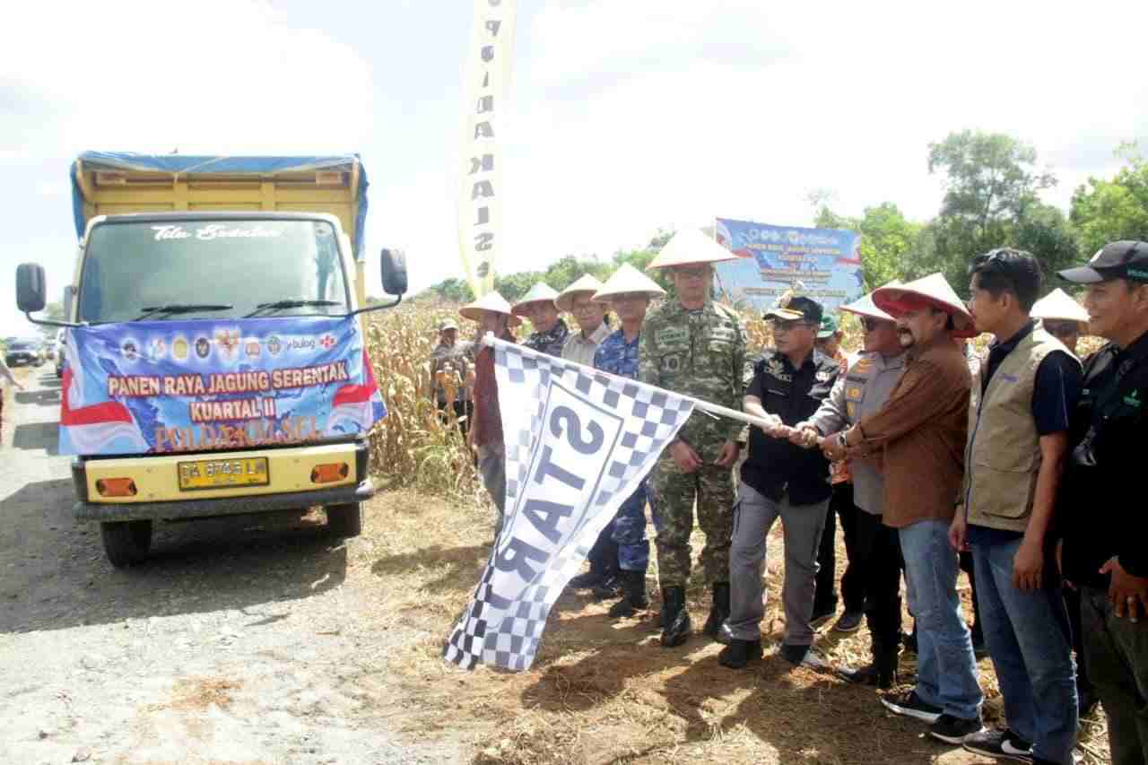 Dorong Ketahanan Pangan Nasional, Polda Kalsel Panen 100 Ton Jagung di Tanah Laut dan Groundbreaking 10 Gudang