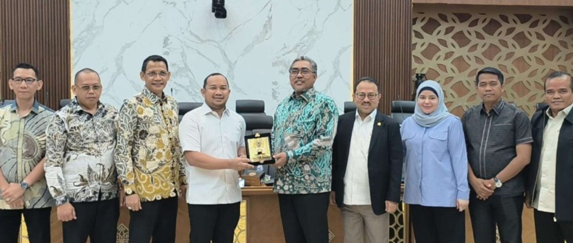 Alpiya Rakhman Pimpin Audiensi ke DPR RI, Soroti Penurunan Transfer Daerah dan DBH Kalsel