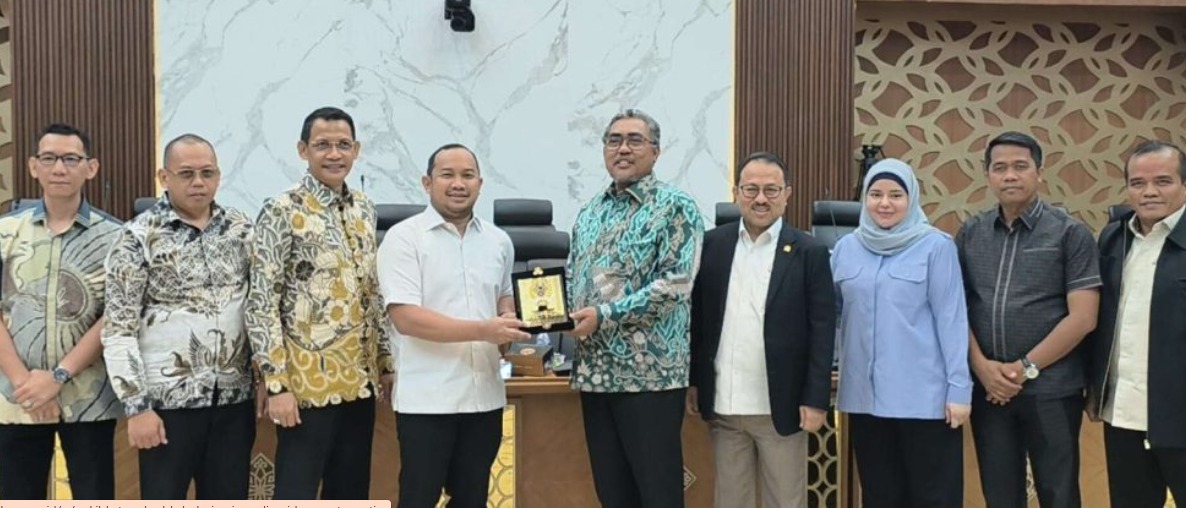 Wakil Ketua DPRD Kalsel Pimpin Audiensi ke DPR RI, Soroti Penurunan Transfer Daerah dan DBH
