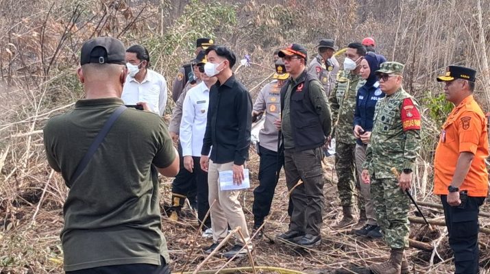 Wapres Gibran Minta Kepala Daerah Aktif Turun ke Lapangan Tangani Karhutla