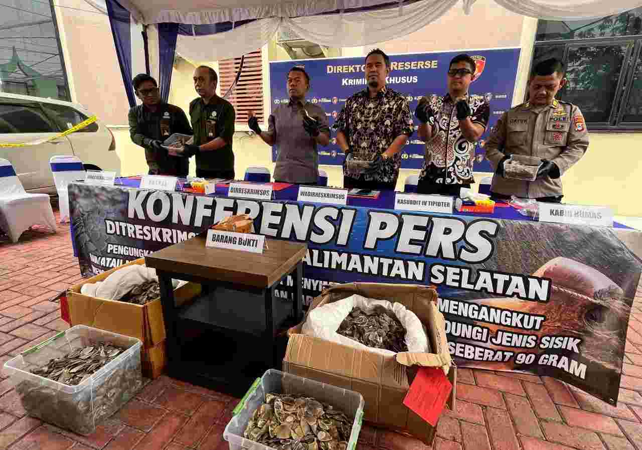 Ditreskrimsus Polda Kalsel Kembali Amankan Sisik Trenggiling dan Paruh Rangkong Bernilai Ratusan Juta Rupiah
